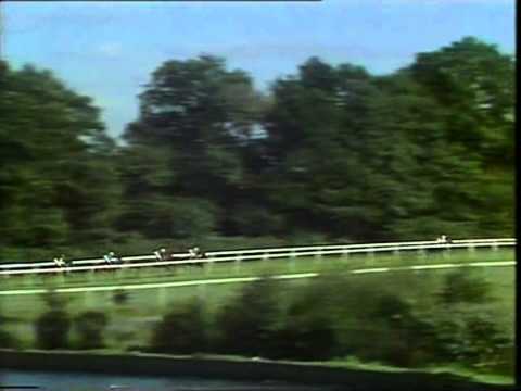 1987 Queen Elizabeth II Stakes Ascot Full Race