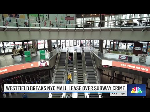 Westfield mall seeks to end World Trade Center lease over homelessness and crime | NBC New York