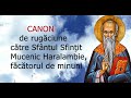 Canon De Rugăciune La Sfântul Sfinţit Mucenic Haralambie 10 Februarie Slujitor Dani