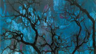 Amon Düül II - Phallus Dei 1969 (full album)