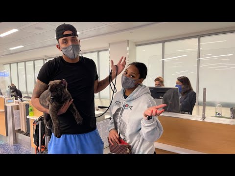 THE AIRLINE WON'T LET US FLY WITH OUR BRAND NEW PUPPY *BAG TOO SMALL*