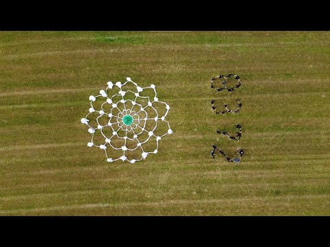 Hor Hajr - Cvijet Srebrenice