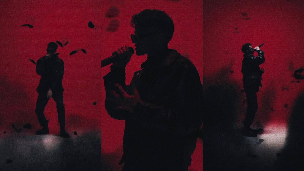 Butterfly (Vertical Video)