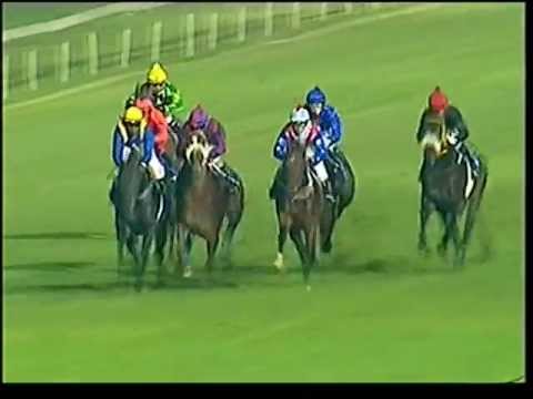 2013-04-12 Turffontein - race 2