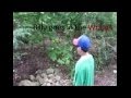 Little Billy In the Woods feat. NICKNATION ! and ...