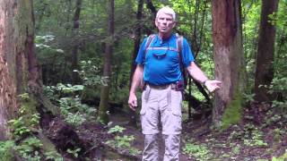 preview picture of video 'Honey Creek Trail  Big South Fork National Rvier and Recreation Area of the Cumberland Plateau'