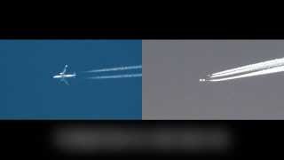 Real Plane & Fake Plane ''The Glare''