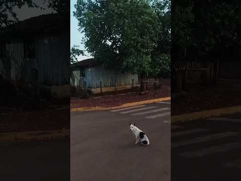 29/11/25,nova América, Distrito de Caarapó, MS.#turismo #viagem #matogrossodosul #caarapó