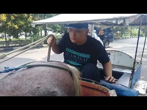 Kusir Delman, Taman Kebun Bibit Wonorejo, Rungkut Surabaya, 17 Maret 2018