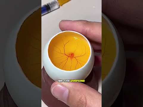 The journey to save a tiny life  #animals