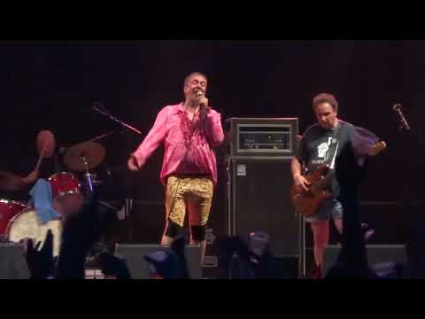 Die  Lokalmatadore - live - Back To Future 2022 - Glaubitz Open  Air