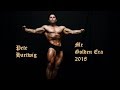 Mr Golden Era 2018 | Pete Hartwig