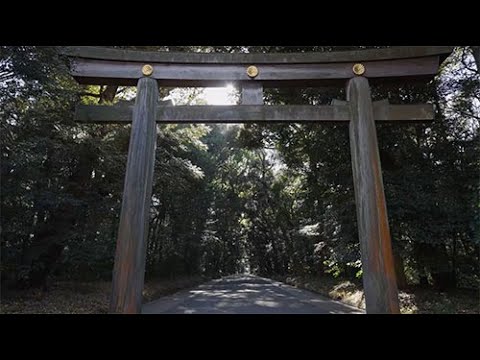 Asia Video Support Demo Reel