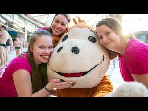 Bongo egy napja - Aquaworld Resort Budapest Hotel és Élményfürdő