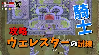 新作【ローグヒーローズ/Rogue Heroesテイソスの遺跡】第２砦ウェレスターの試練に挑戦！騎士【ゲーム実況】Switch版