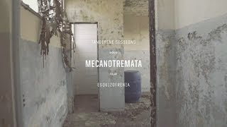Mecanotremata ▸ Esquizofrenia @ Tangerine Sessions