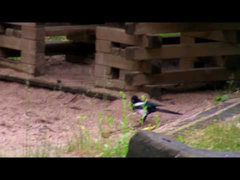 Köln Vingst Spielplatz