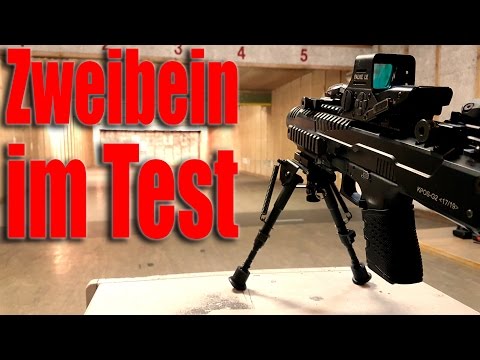 Zweibein - Montage und Test