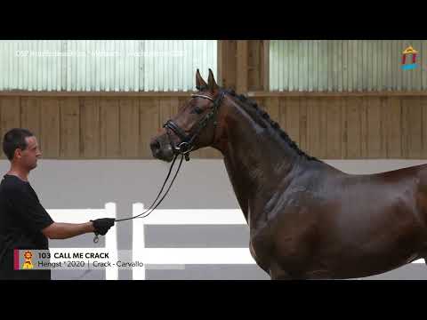 KN 103 Call me Crack *2020 Hengst v. Crack - Carvallo