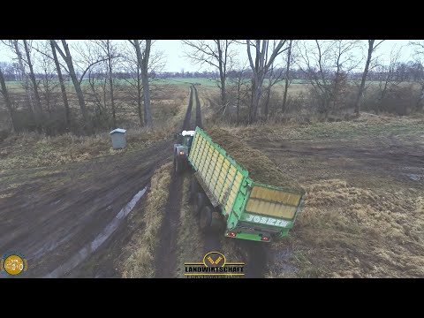 Das war Richtig Knapp! Gras Ernte im Moor Fendt Traktoren wühlen sich durch den Sumpf 2021