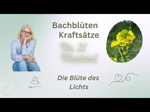 Bachblüten Kraftsätze für die Blüte des Lichts Nr. 21 Mustard