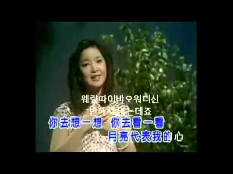 월량대표아적심 (月亮代表我的心) - 첨밀밀 OST  등려군 (鄧麗君)