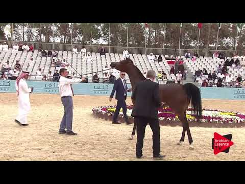 N.221 ALIHANDRA NUR - Asharqia Classic 2018