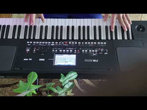 Korg pa 300 Жан Мишель В полёте раздумий /отрывок/