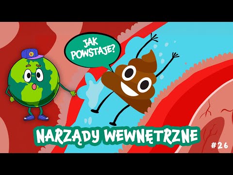 Ciało Człowieka dla Dzieci! 🧠 Poznaj Swoje Niesamowite Narządy!❤️