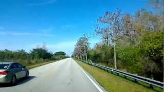 preview picture of video 'On the Road of Big Cypress National Park'