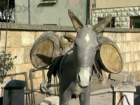 BLAGO NAŠEG KRAJA - Posedarje - 06-03-2013