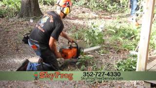 HD Sky Frog Tree Service - Fall 2015 rev