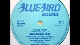 Manfredo Fest  Jungle Kitten