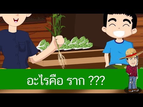 ช่วยให้มีความแข็งแรง ใครจะรู้ว่าแรง