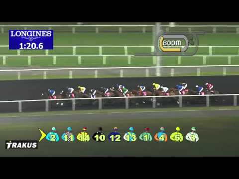 08.03.2014 Meydan (Dubai-UAE) 7.Race Al Maktoum Challenge R3 2014 - Group I 2.000 m