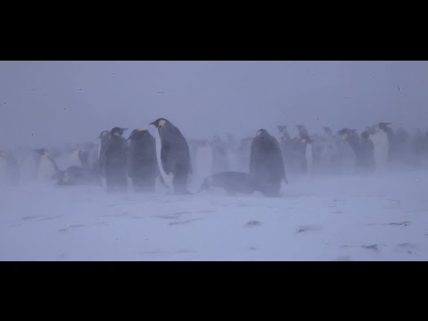 Gombessa 3 expedition - Episode 03