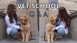 VET SCHOOL Q&A: answering your questions + a 4th year update! 🐾