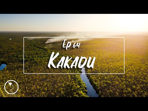 mi a kakadu-látás)