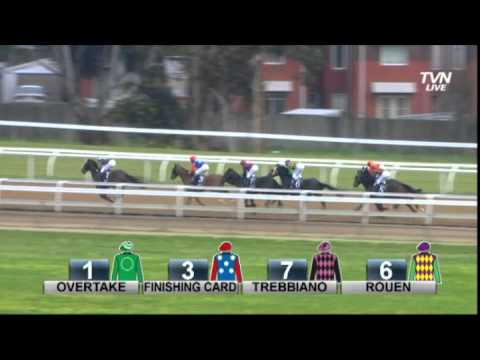 Soros Geelong Race 3 14-08-13 - Viatek 0 - 90 Handicap (1300 METRES)