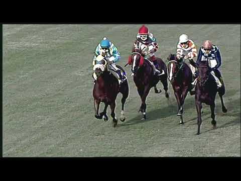 Galoppo 05/08/2020 1ª  corsa