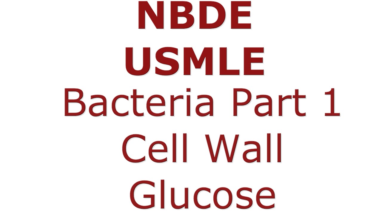 Bacteria Gram - vs Gram + Cell Wall - Glucose Metabolism NBDE & USMLE