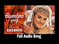 Bumro Full Audio Song || Movie : Mission Kashmir ||  Hritik Roshan , Priti Zinta