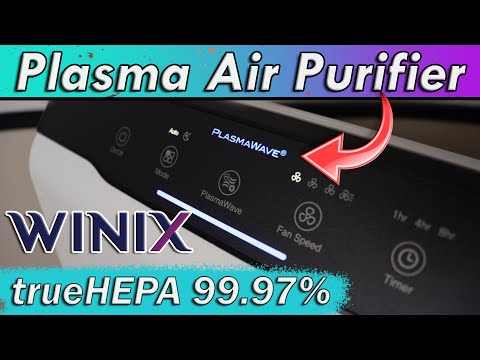 Affordable & Effective: WINIX C535 True HEPA PlasmaWave Air Purifier