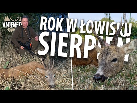 # 181 ROK W ŁOWISKU - SIERPIEŃ