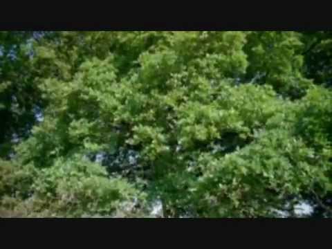 Luca Laurenti Innamorarsi noi