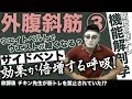 『外腹斜筋筋トレ！ベルトを巻いてもウエストは細くならない！』CHICKEN HEART TV vol.143座学