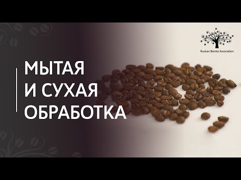 Методы обработки кофейного зерна | Сухая, мытая обработка кофе
