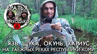 Ссылка