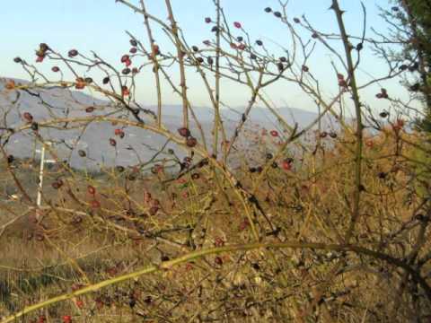I paesaggi dell'anima - Barbara Martini