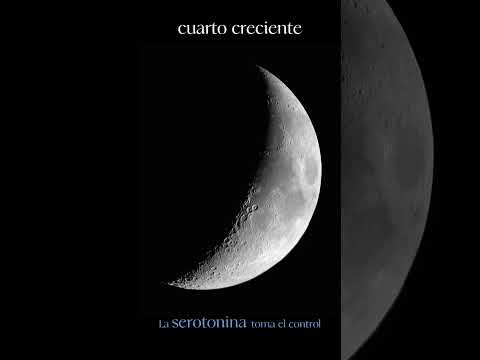 PRUEBA Lunalogía-  Sofía ACOTTO